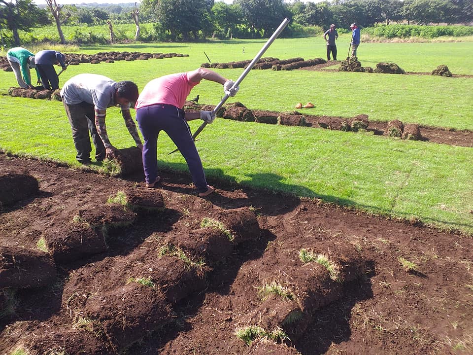Proyecto de grama 2 - Oficinas corporativas en León