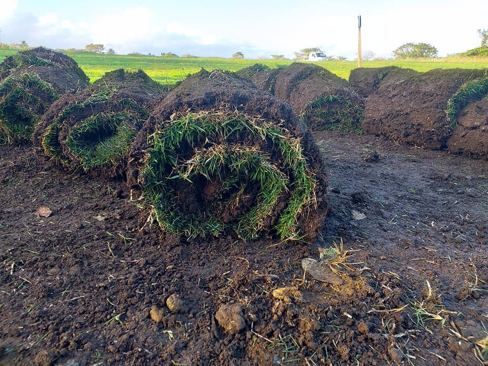 Proyecto de grama 4 - Centro comercial en Estelí