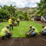 Trabajadores instalando rollos de grama natural en Nicaragua