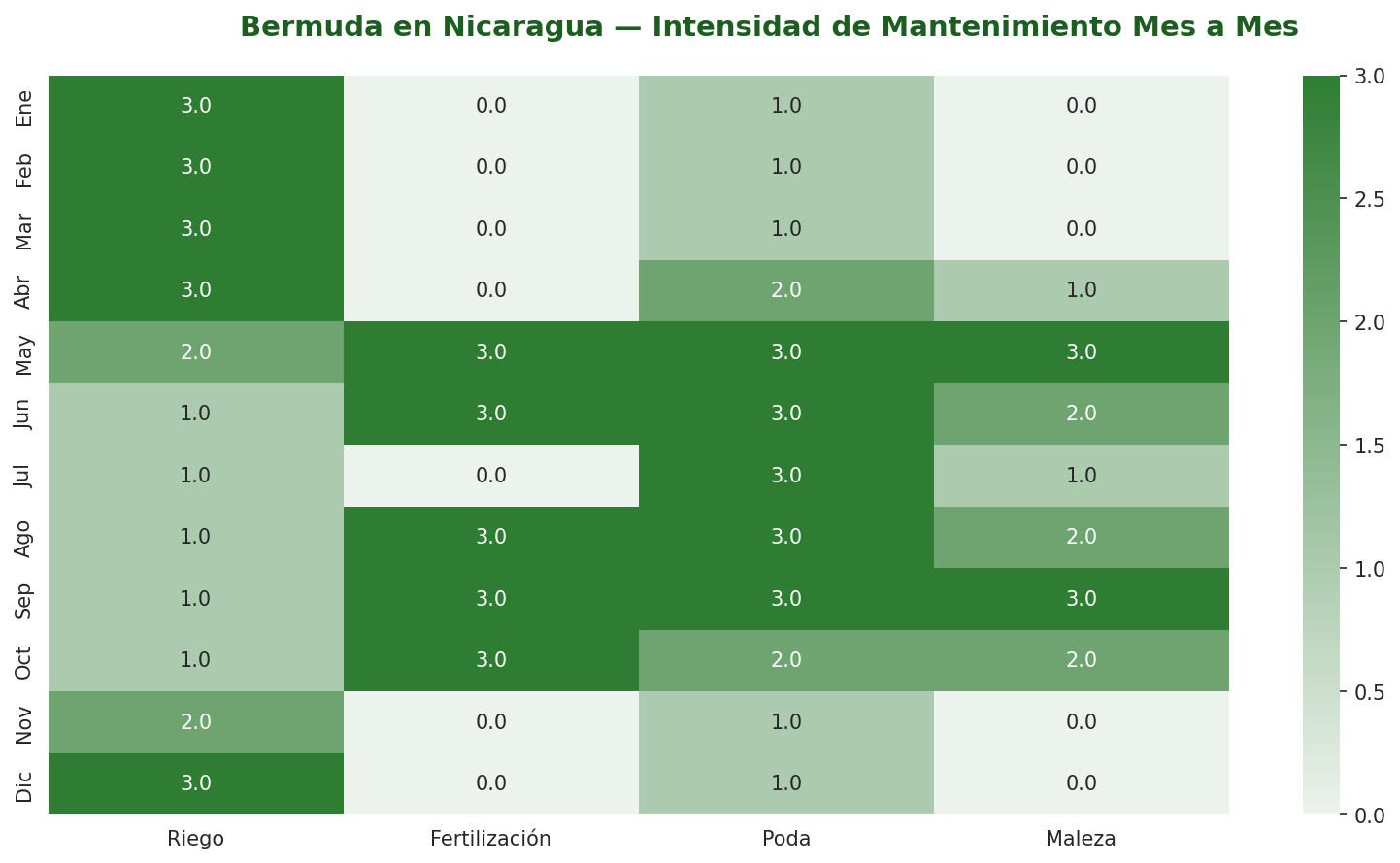 Calendario anual de mantenimiento de grama Bermuda en Nicaragua — riego, fertilización, poda y control de malezas mes a mes
